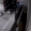 personal-trainer-ucciso-a-foggia:-al-tg1-il-video-del-presunto-killer-che-fugge-in-bici