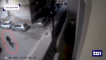 personal-trainer-ucciso-a-foggia:-al-tg1-il-video-del-presunto-killer-che-fugge-in-bici