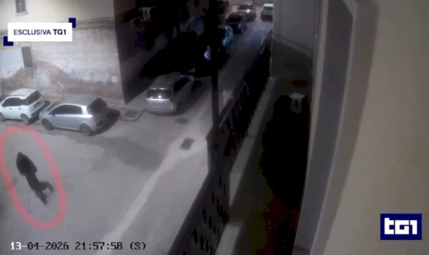 personal-trainer-ucciso-a-foggia:-al-tg1-il-video-del-presunto-killer-che-fugge-in-bici