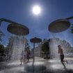 ondata-di-caldo-in-italia:-bollino-rosso-in-8-citta,-allerta-del-ministero-della-salute