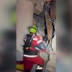 venezuela,-cane-eroe-rintraccia-superstite-tra-le-macerie-a-8-giorni-dal-sisma