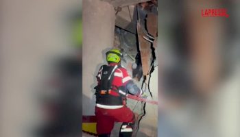 venezuela,-cane-eroe-rintraccia-superstite-tra-le-macerie-a-8-giorni-dal-sisma