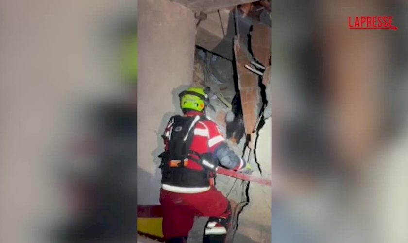 venezuela,-cane-eroe-rintraccia-superstite-tra-le-macerie-a-8-giorni-dal-sisma