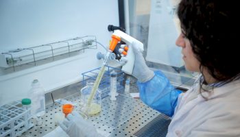 in-arrivo-una-nuova-terapia-genica-per-la-beta-talassemia:-lo-studio 