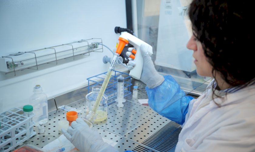 in-arrivo-una-nuova-terapia-genica-per-la-beta-talassemia:-lo-studio