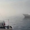 turchia,-fitta-nebbia-a-istanbul:-sul-bosforo-parzialmente-sospesi-i-traghetti