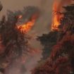 grecia,-non-si-placano-gli-incendi-nei-dintorni-di-atene:-le-immagini