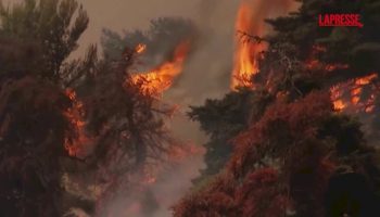grecia,-non-si-placano-gli-incendi-nei-dintorni-di-atene:-le-immagini