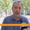 comazzi-“gli-animali-non-si-abbandonano,-denunciate-chi-lo-fa”