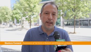 comazzi-“gli-animali-non-si-abbandonano,-denunciate-chi-lo-fa”