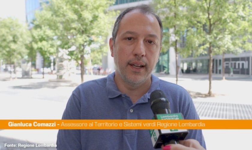 comazzi-“gli-animali-non-si-abbandonano,-denunciate-chi-lo-fa”