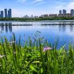 la-cina-elabora-un-piano-d’azione-per-migliorare-la-qualita-dell’aria