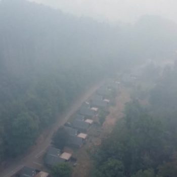maxi-incendio-in-belgio,-civili-aiutano-i-vigili-del-fuoco-per-cercare-di-spegnere-le-fiamme