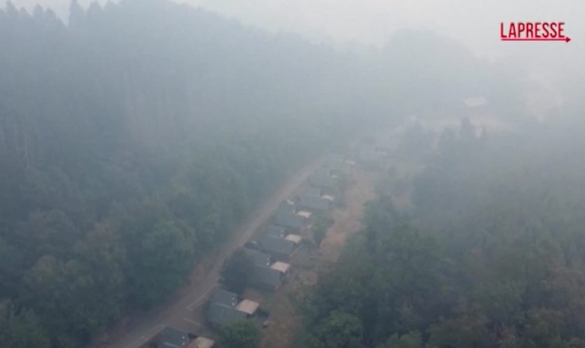 maxi-incendio-in-belgio,-civili-aiutano-i-vigili-del-fuoco-per-cercare-di-spegnere-le-fiamme