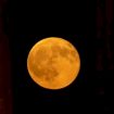 grecia,-la-luna-piena-sorge-dietro-il-tempio-di-apollo-a-corinto:-le-suggestive-immagini