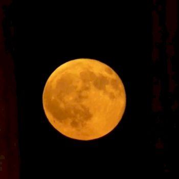 grecia,-la-luna-piena-sorge-dietro-il-tempio-di-apollo-a-corinto:-le-suggestive-immagini